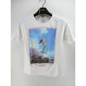 Vintage Maxfield Parrish‎ Ecstasy Art Shirt Size Medium Ladies Power T USA Y2K